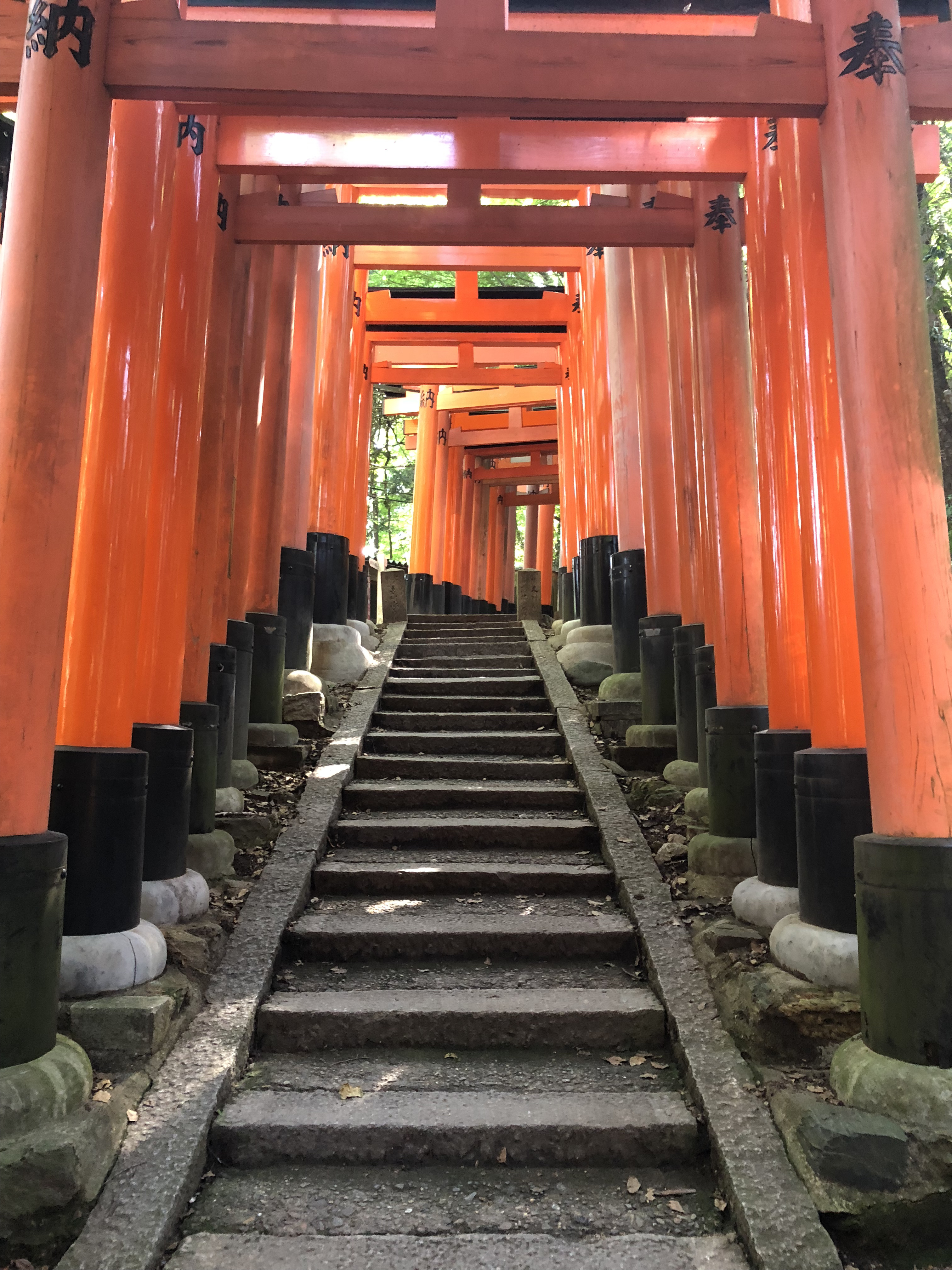 Kyoto tour